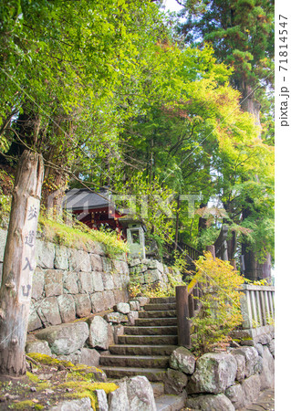 神橋付近の遊歩道入口 深沙王堂 秋色風景の散策 秋風景 神橋付近の遊歩道入口 深沙王堂 秋色風景の散策 秋風景 71814547