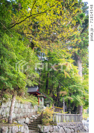 神橋付近の遊歩道入口 深沙王堂 秋色風景の散策 秋風景 神橋付近の遊歩道入口 深沙王堂 秋色風景の散策 秋風景 71814548
