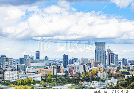 ゆく秋の仙台市全景 ゆく秋の仙台市全景 71814586