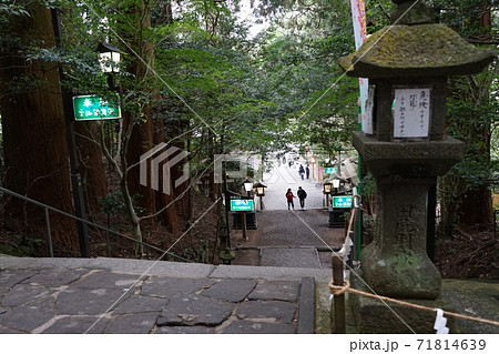 高千穂神社境内の参道と灯篭 高千穂神社境内の参道と灯篭 71814639
