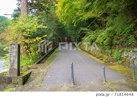 表参道　日光　秋色風景の散策　秋風景　 71814648