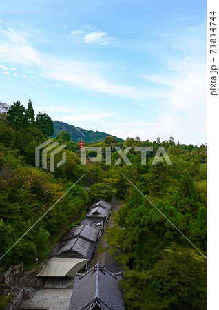 清水寺　音羽の滝の前の参道 71814744