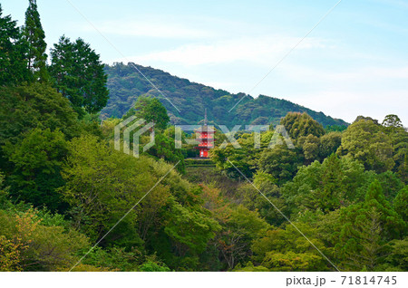 清水寺　子安塔　眺め 71814745