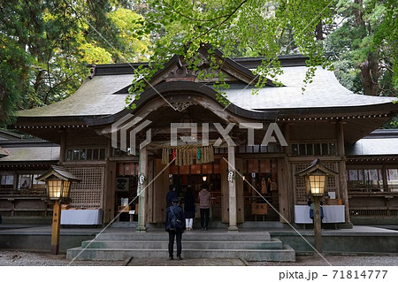 高千穂神社境内の本殿と大杉 高千穂神社境内の本殿と大杉 71814777