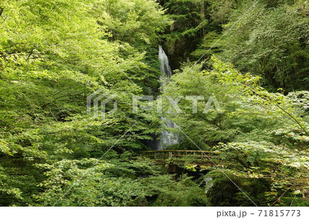 長沢の滝 71815773