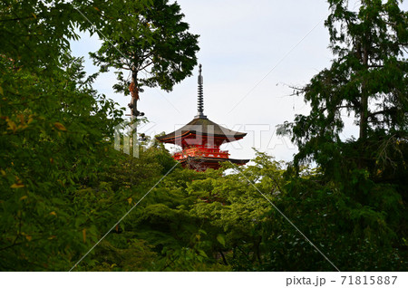 清水寺 子安塔 清水寺 子安塔 71815887