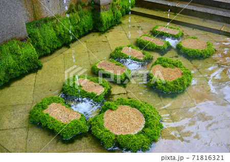清水寺 音羽の滝 水しぶき 清水寺 音羽の滝 水しぶき 71816321