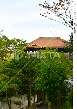 清水寺 本堂 清水寺 本堂 71816323