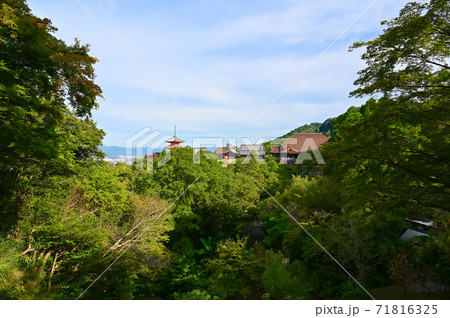 清水寺 京都東山 清水寺 京都東山 71816325