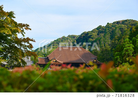 清水寺　本堂 71816328