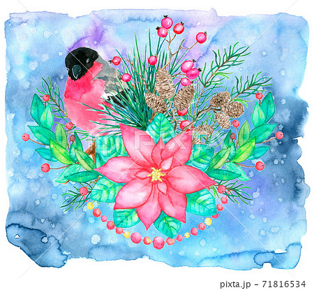 Christmas and New Year greeting card with snowbird, poinsettia flower, cone and berry against blue painted background. Hand drawn vintage watercolor illustration. Natural background 71816534