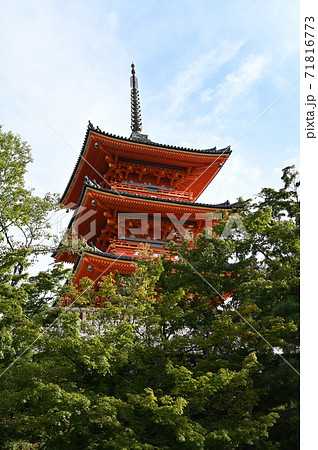 清水寺　三重塔　イメージ 71816773