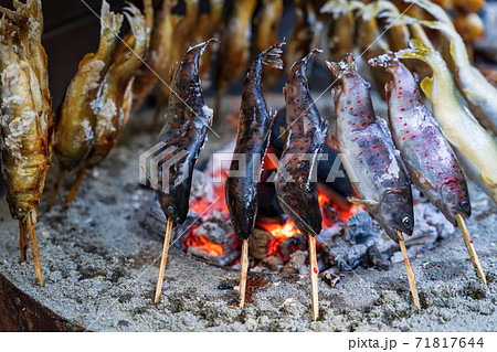 キャンプで魚を焼いているイメージの写真素材
