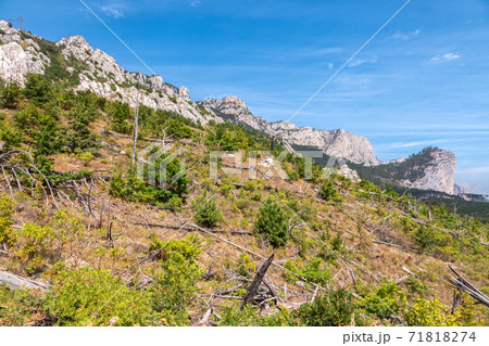 Fallen pines on the slope of a high rocky mountain. High stone rock and the forest on a hillside in the fog on blue sky background. 71818274