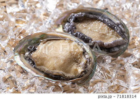 新鮮なアワビ 71818314