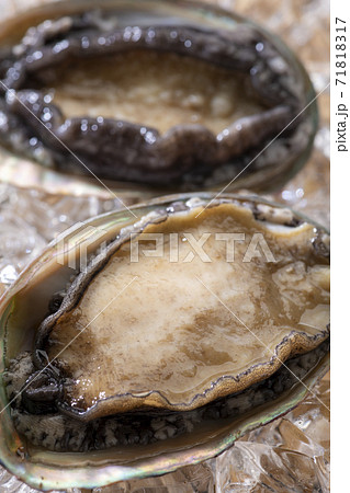 新鮮なアワビ 71818317