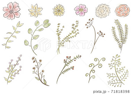ラフでオシャレな植物飾りの手書きイラストのイラスト素材 [71818398