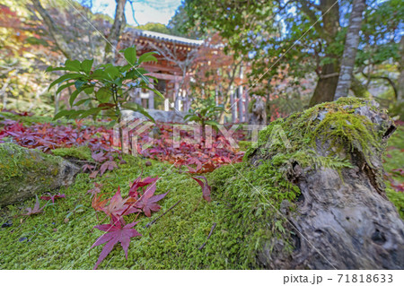醍醐寺 醍醐寺 71818633
