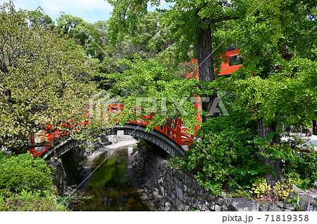 下鴨神社 輪橋(反り橋) みたらし川 下鴨神社 輪橋(反り橋) みたらし川 71819358