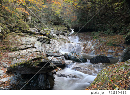 国領川の源流域、別子ラインのさらに奥「西鈴尾谷川」の秋 71819411