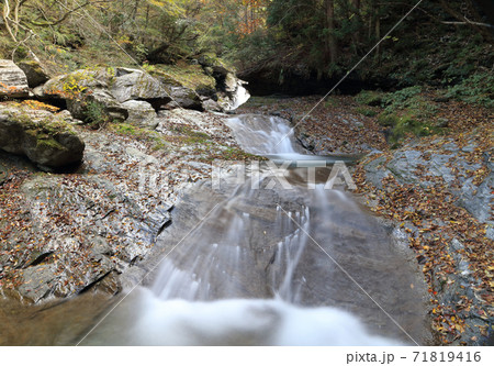 国領川の源流域、別子ラインのさらに奥「西鈴尾谷川」の秋 71819416
