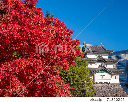 12月東京・千代田区 江戸城富士見櫓と皇居乾通りの紅葉 71820295
