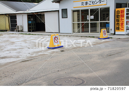 鳥インフルエンザ感染予防で消石灰を撒いて消毒してある敷地立ち入り制限の標識 71820597