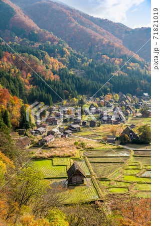 【紅葉の白川郷 天守閣展望台からの合掌造り集落 】 【紅葉の白川郷 天守閣展望台からの合掌造り集落 】 71821019