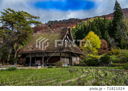 【紅葉の白川郷　明善寺の本堂 】 71821024