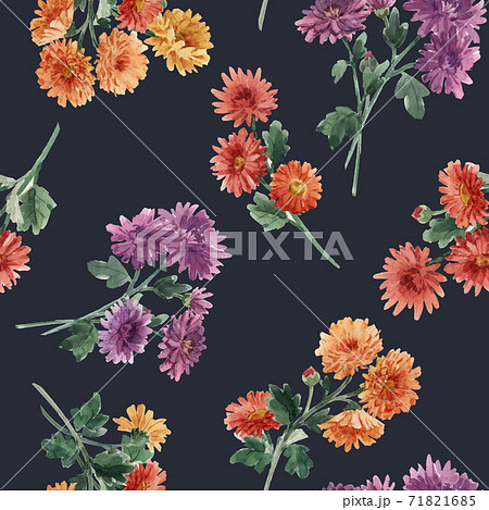 Beautiful seamless floral pattern with watercolor gentle blooming chrysanthemum flowers. Stock illustration. 71821685