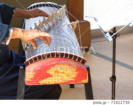 琴 筝 を練習しているシニア女性の手の写真素材