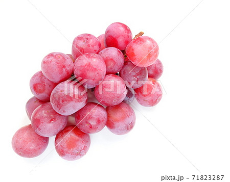 ぶどう　ブドウ　葡萄　クイーンニーナ 71823287
