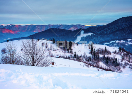 winter mountain landscape at sunrise. trees and fields on snow covered hills. ridge in the distance beneath a dramatic sky with clouds. beautiful carpathian countryside winter mountain landscape at sunrise. trees and fields on snow covered hills. ridge in the distance beneath a dramatic sky with clouds. beautiful carpathian countryside 71824041