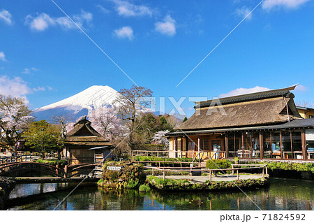 山梨県 春の忍野八海 山梨県 春の忍野八海 71824592