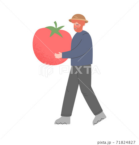 Man Farmer Carrying Huge Ripe Tomato, Male... - Stock Illustration  [71824827] - PIXTA