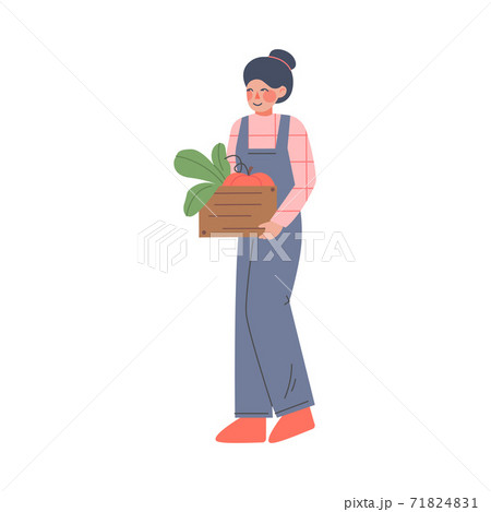 Woman Farmer Harvesting Vegetables, Female Agricultural Worker Gardener Character in Overalls Working on Farm, Eco Farming Concept Cartoon Style Vector Illustration 71824831
