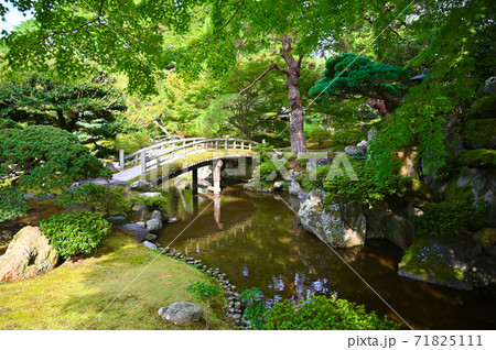京都御所　御内庭　土橋 71825111