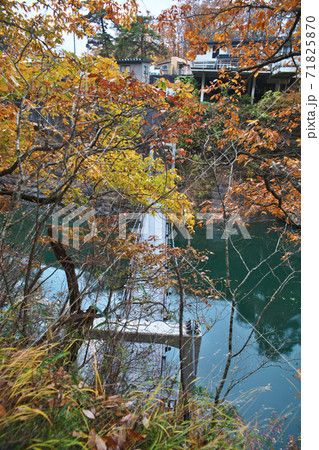 秋の塔のへつり　（吊り橋と紅葉） 71825870