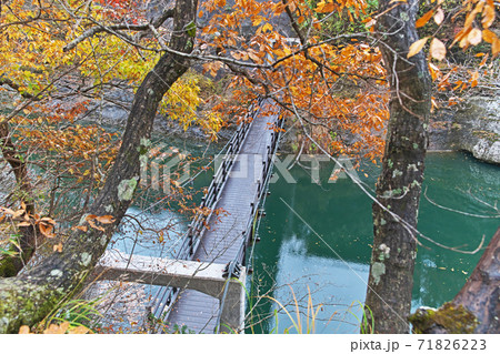 秋の塔のへつり 吊り橋と紅葉 の写真素材