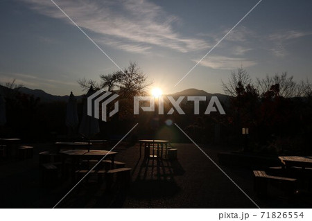 夜明け朝陽射し込む公園光と影 71826554