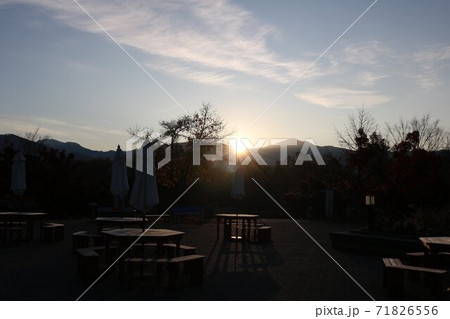 夜明け朝陽射し込む公園光と影 夜明け朝陽射し込む公園光と影 71826556