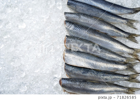 Traditional raw herring without heads on ice Traditional raw herring without heads on ice 71826585