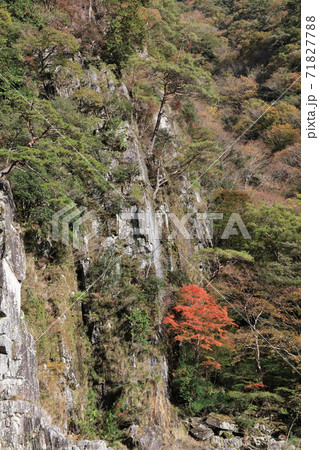 深山の秋 71827788