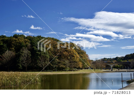松戸 21世紀の森 松戸 21世紀の森 71828013