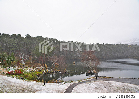 雪が降っている朝の裏庭と弥六沼 71828405