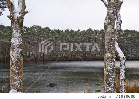 雪が降っている朝の弥六沼 71828689