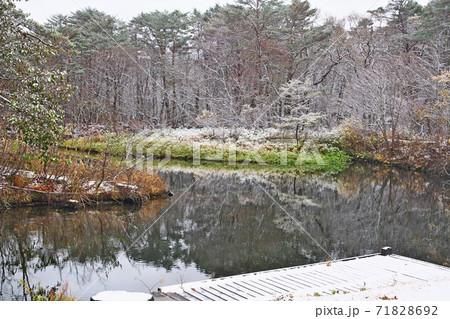 雪が降っている朝の弥六沼 71828692