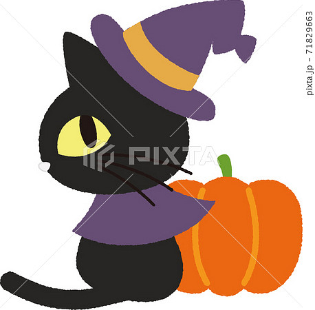 黒猫のイラスト 71829663