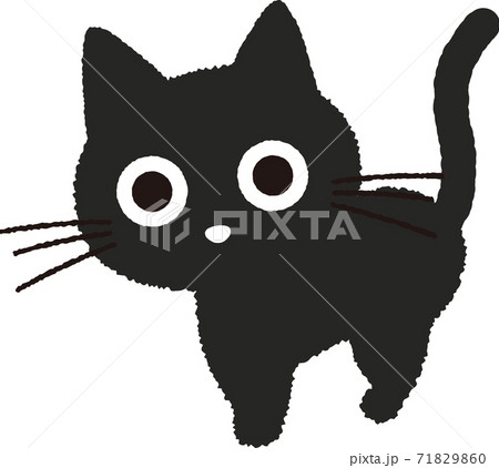 黒猫 71829860