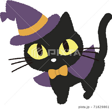 黒猫 71829861